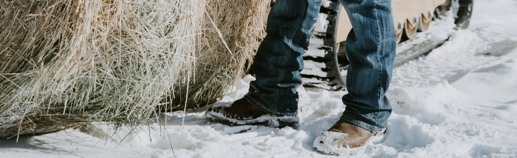 Ariat Winter Cowboy Boots